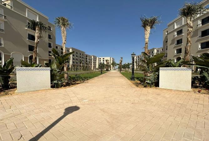 8079676 - Property Image 3