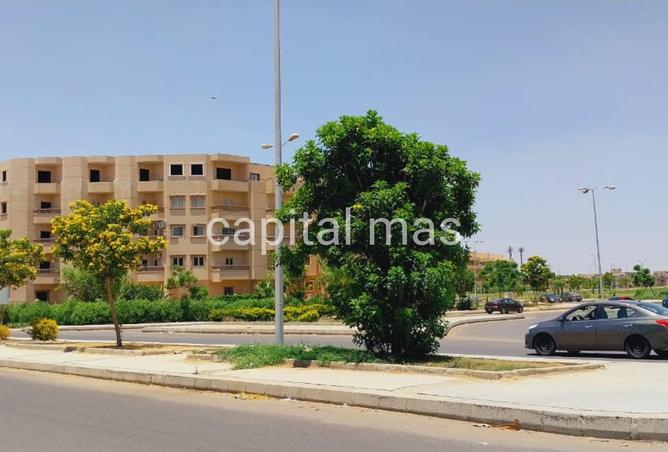 7899624 - صورة العقار 2