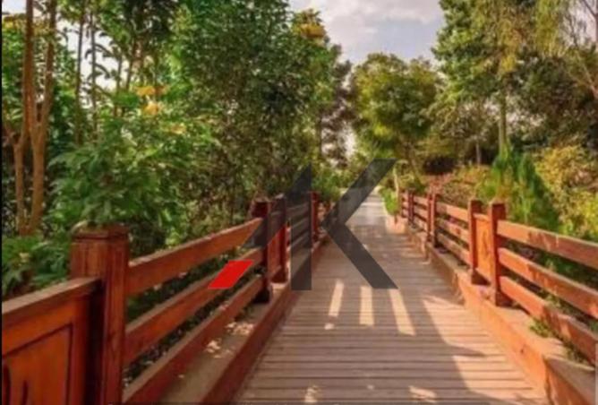 8459039 - صورة العقار 3