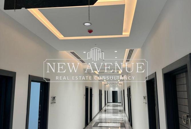 7959608 - Property Image 2