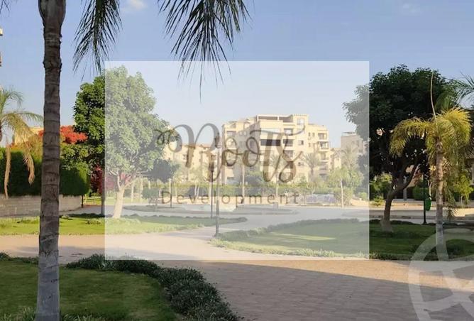 7898813 - صورة العقار 2