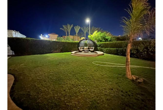7951799 - صورة العقار 3