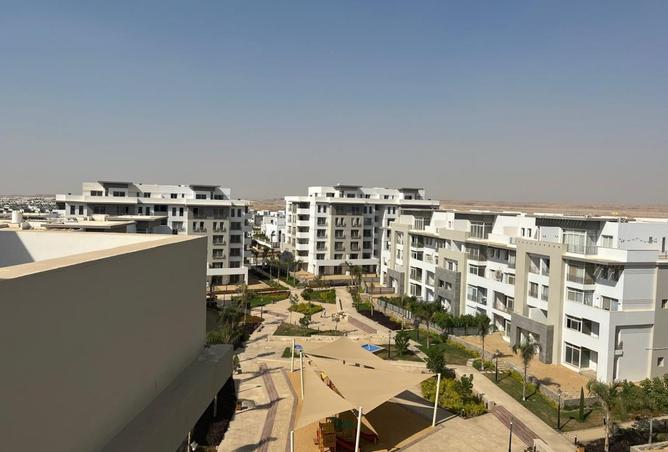 8441689 - Property Image 3