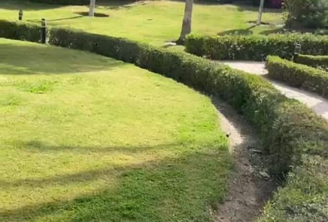 8403476 - صورة العقار 2