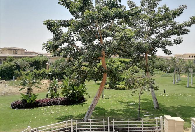 8182807 - صورة العقار 3