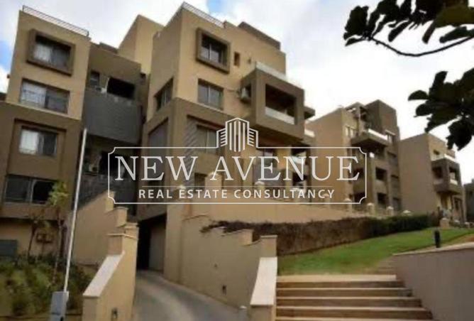 8432833 - Property Image 3