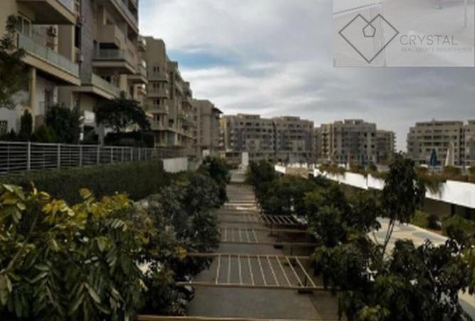 8125770 - Property Image 2