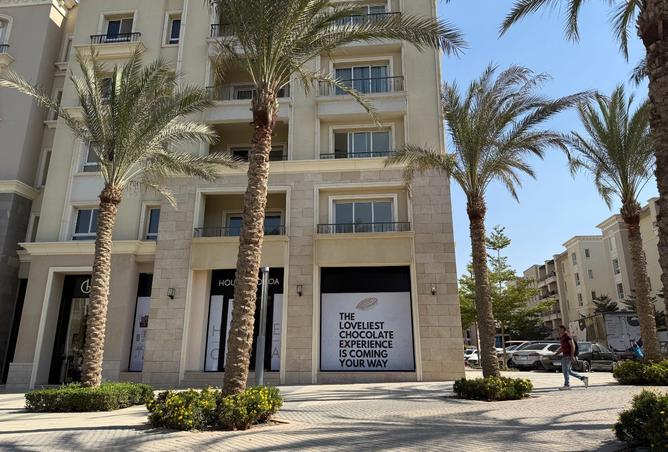 8163256 - Property Image 3