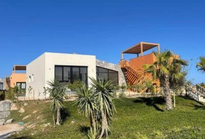 8203850 - Property Image 3