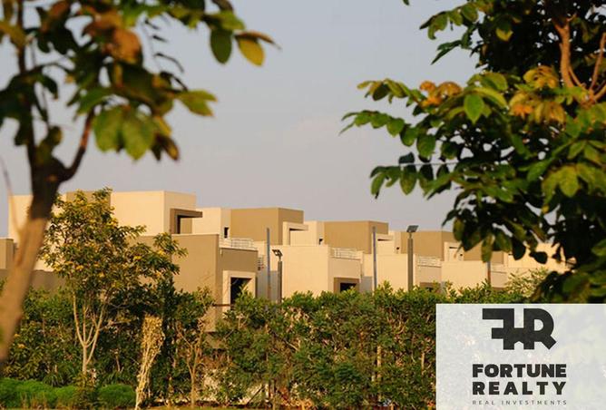 8358369 - Property Image 3