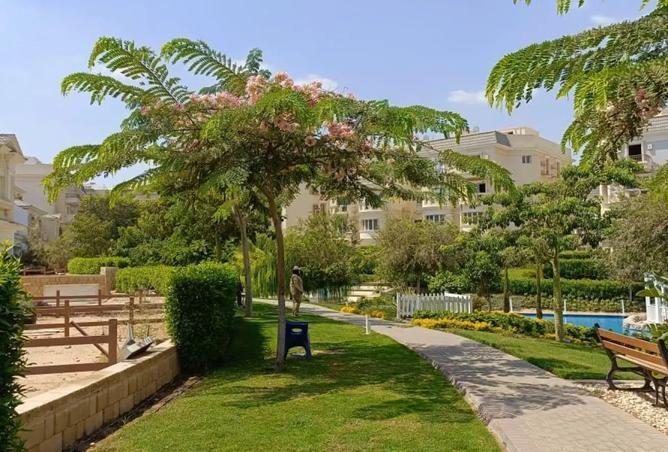7939617 - صورة العقار 3
