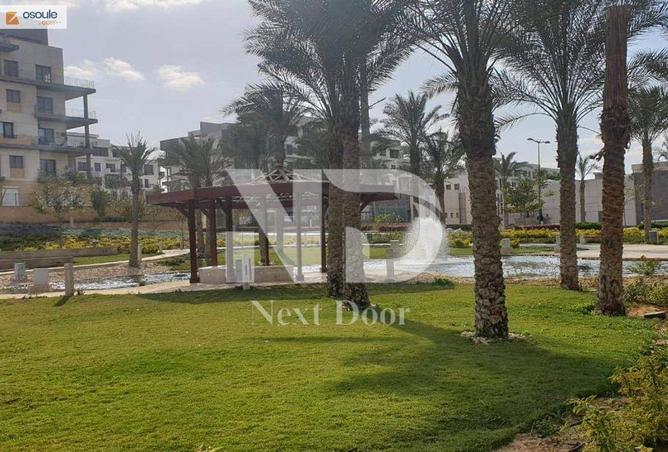 8315191 - Property Image 2