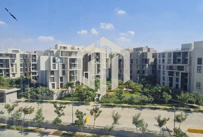 7947038 - Property Image 3