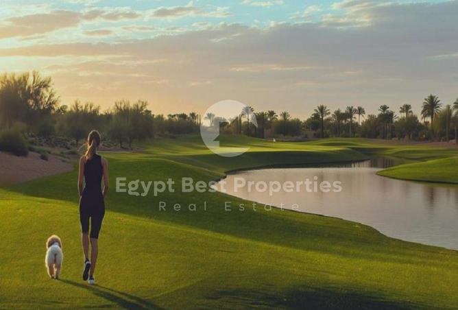 8401608 - Property Image 2