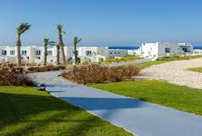 8163613 - صورة العقار 2