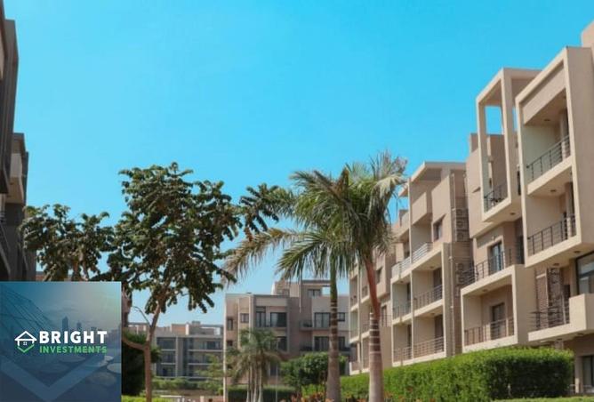 8245512 - Property Image 3