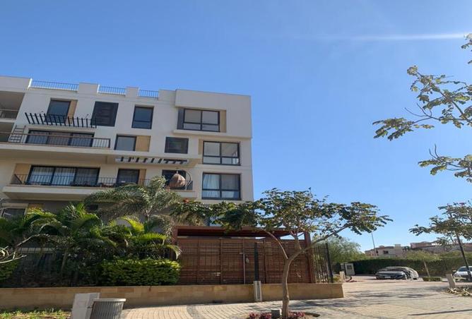 8273539 - Property Image 3