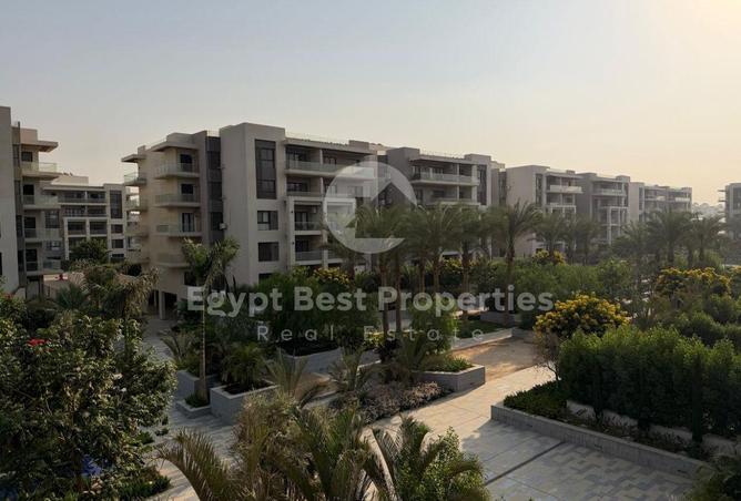 8249680 - الصورة الرئيسية للعقار