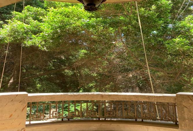 8504704 - صورة العقار 2