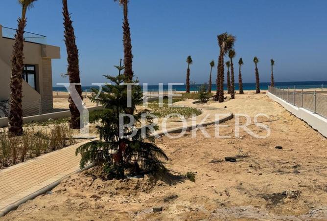 7924065 - Property Image 3