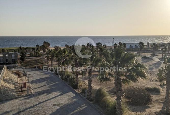 8075817 - Property Image 3