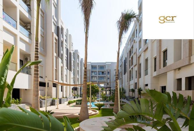 8443442 - Property Image 2