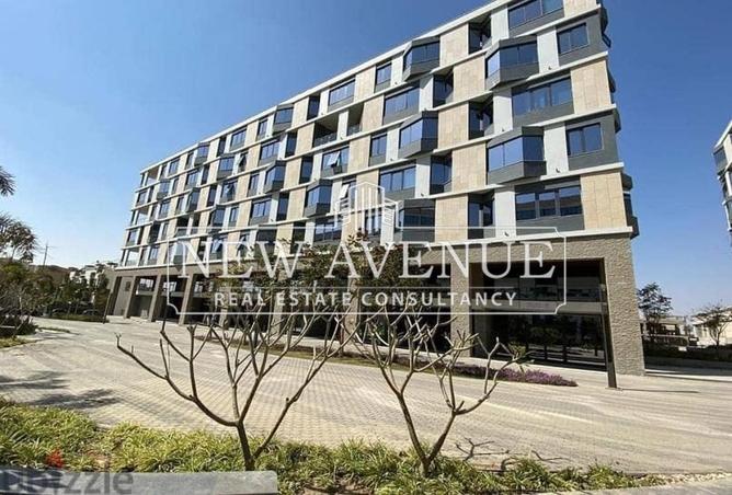 8015879 - Property Image 3