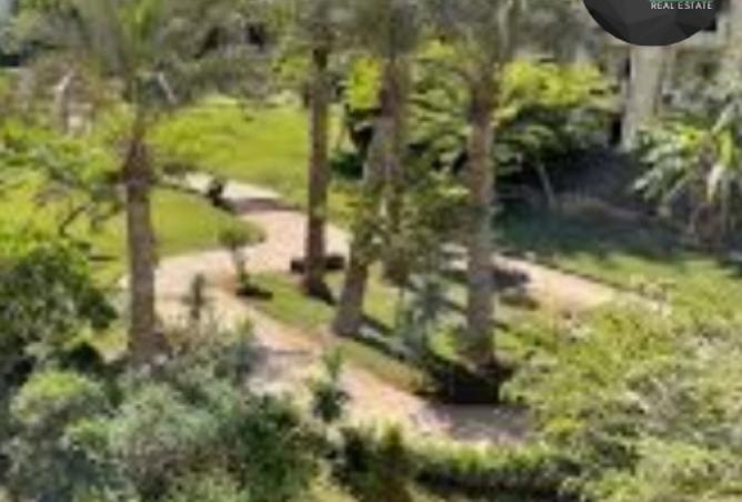 8561383 - الصورة الرئيسية للعقار