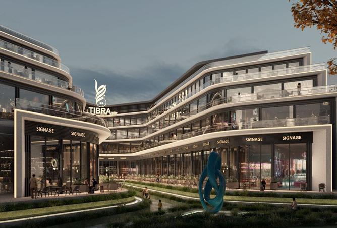 8297616 - صورة العقار 3