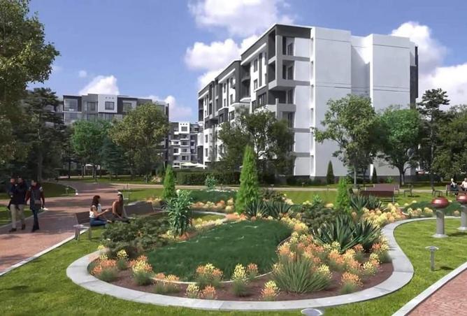 8238445 - Property Image 2