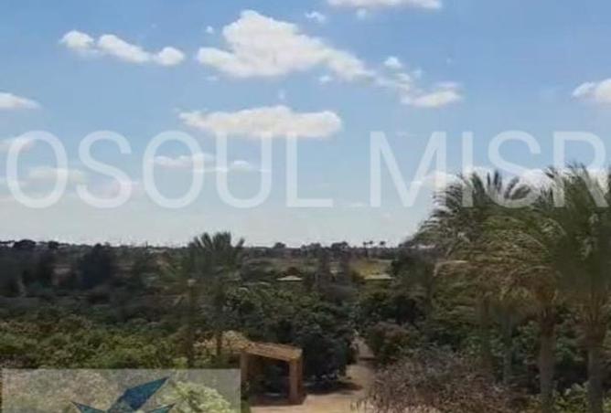 8517689 - صورة العقار 3