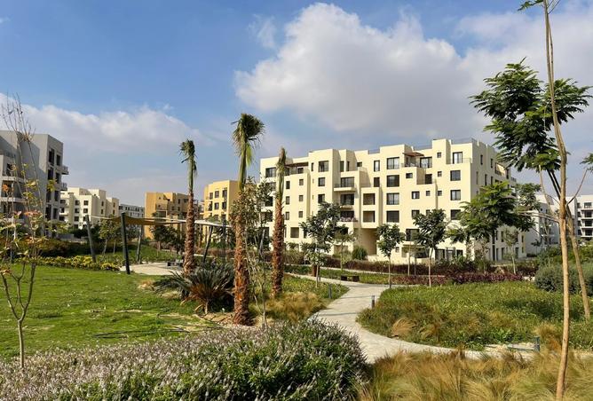 8510641 - صورة العقار 3