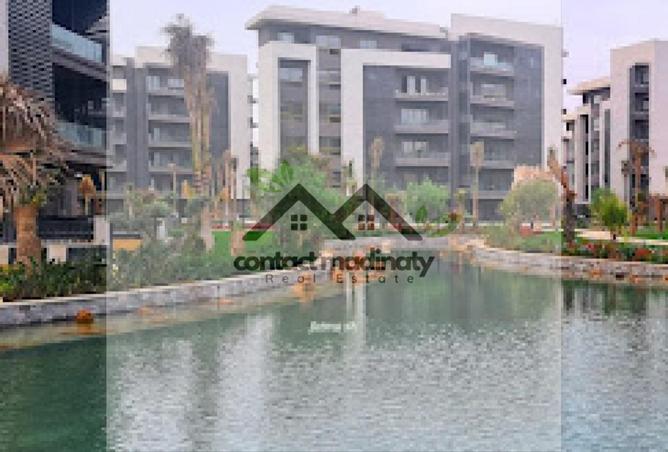 8197797 - Property Image 3