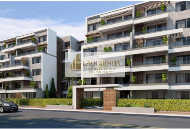 8542420 - Property Image 2