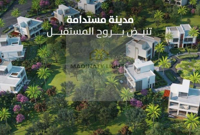 8460329 - Property Image 3