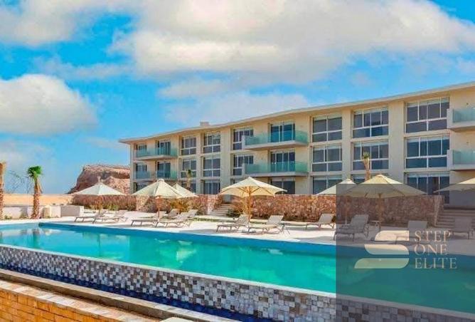 8438118 - Property Image 3