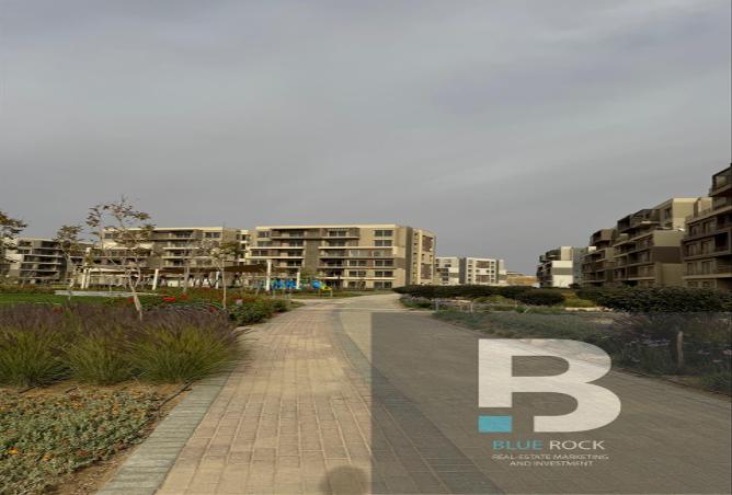 7966829 - صورة العقار 2
