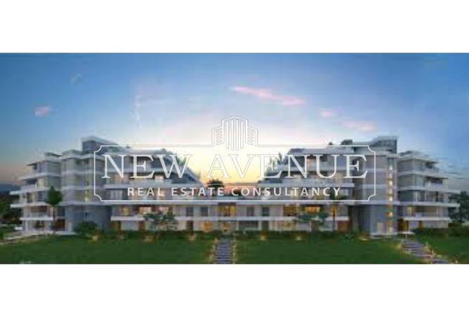 7973592 - Property Image 3