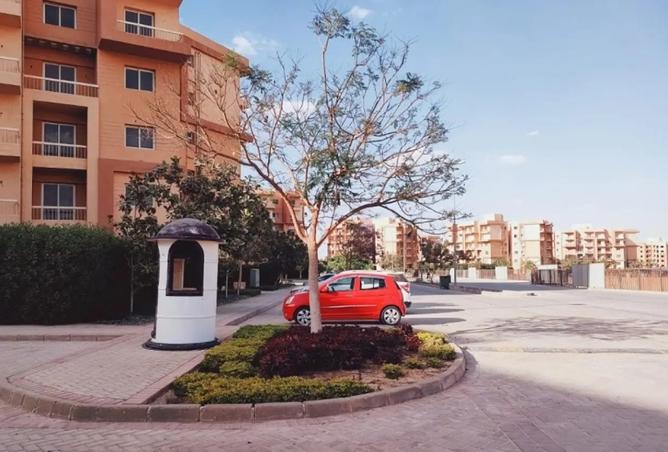 8325393 - Property Image 3