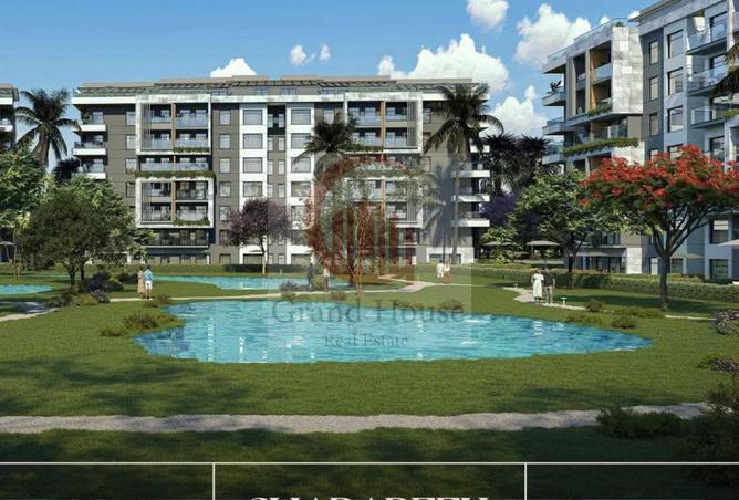 8111541 - Property Image 3