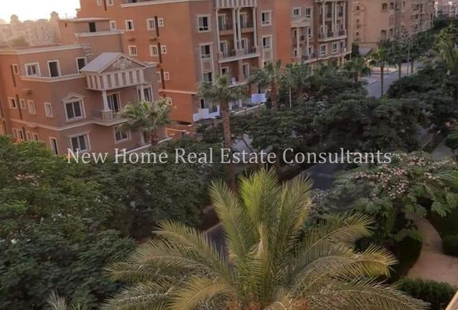 8435707 - صورة العقار 3