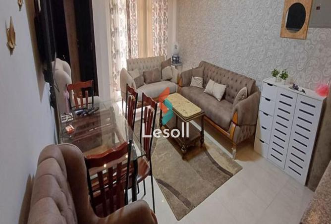 8506191 - Property Image 3