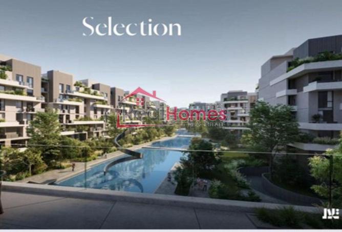 8236591 - Property Image 3