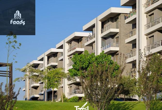 8355480 - صورة العقار 3