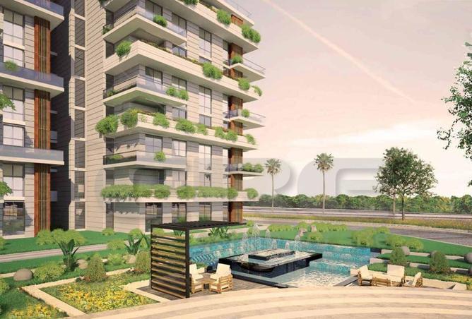 8075933 - Property Image 3