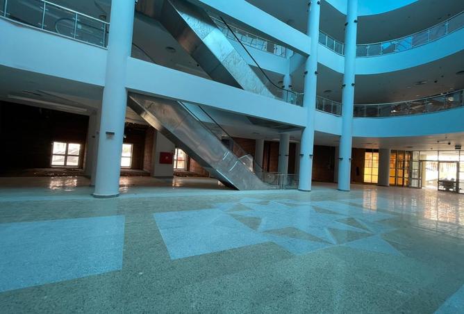 8181400 - Property Image 3