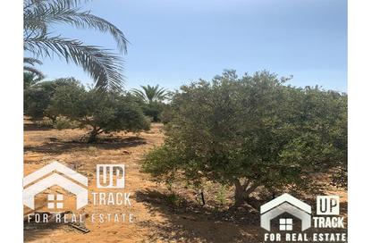 قطعة أرض - استوديو للبيع في وادي النخيل - طريق مصر اسكندرية الصحراوي - مدينة 6 أكتوبر - الجيزة