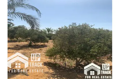 قطعة أرض - استوديو للبيع في وادي النخيل - طريق مصر اسكندرية الصحراوي - مدينة 6 أكتوبر - الجيزة