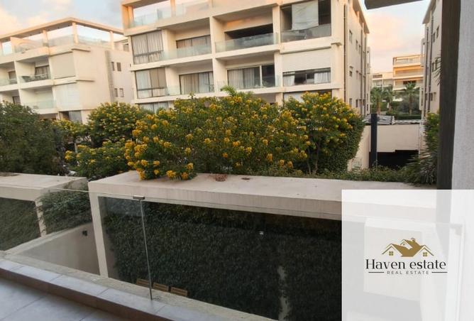 8407738 - Property Image 3