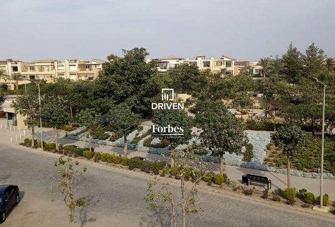 8260773 - Property Image 3